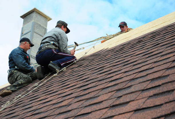 Roof Repair Estimates in Timnath, CO
